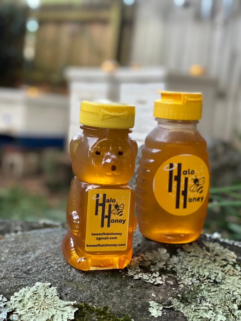 Two bottled and labeled jars of Halo Honey, a bear bottle and a classic jar, resting on a lichen-covered rock near the hives