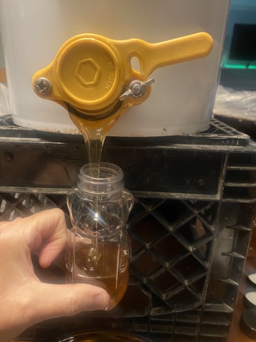 Filling a small glass jar with honey straight from the bottling bucket's honey gate